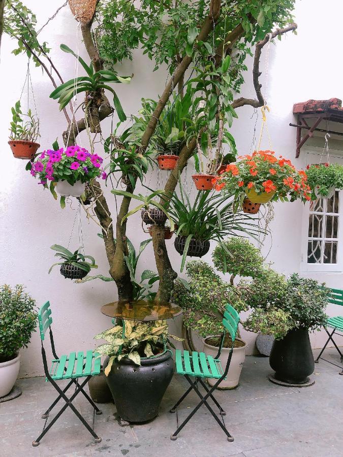 Green Garden Homestay Hoi An Exteriör bild